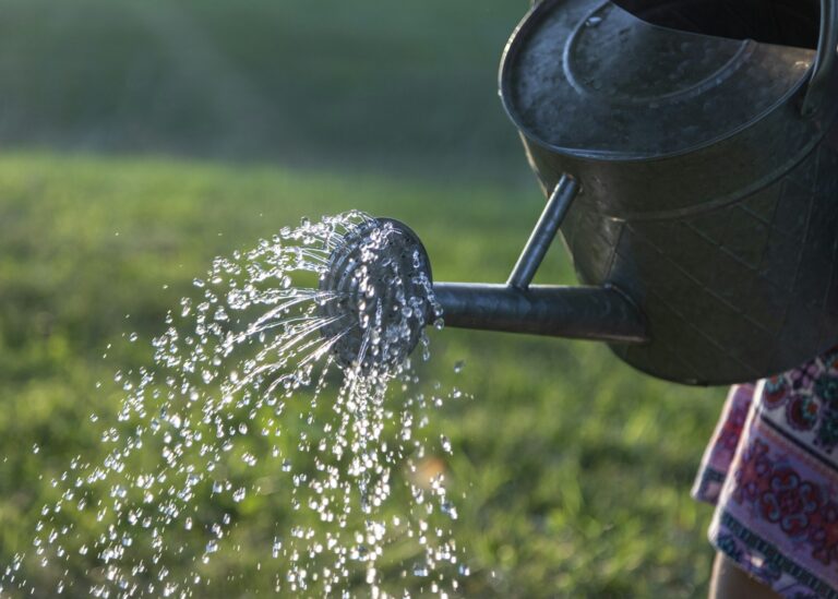 Regenwasser nutzen: Regentonne zum Sammeln von Regenwasser im Garten