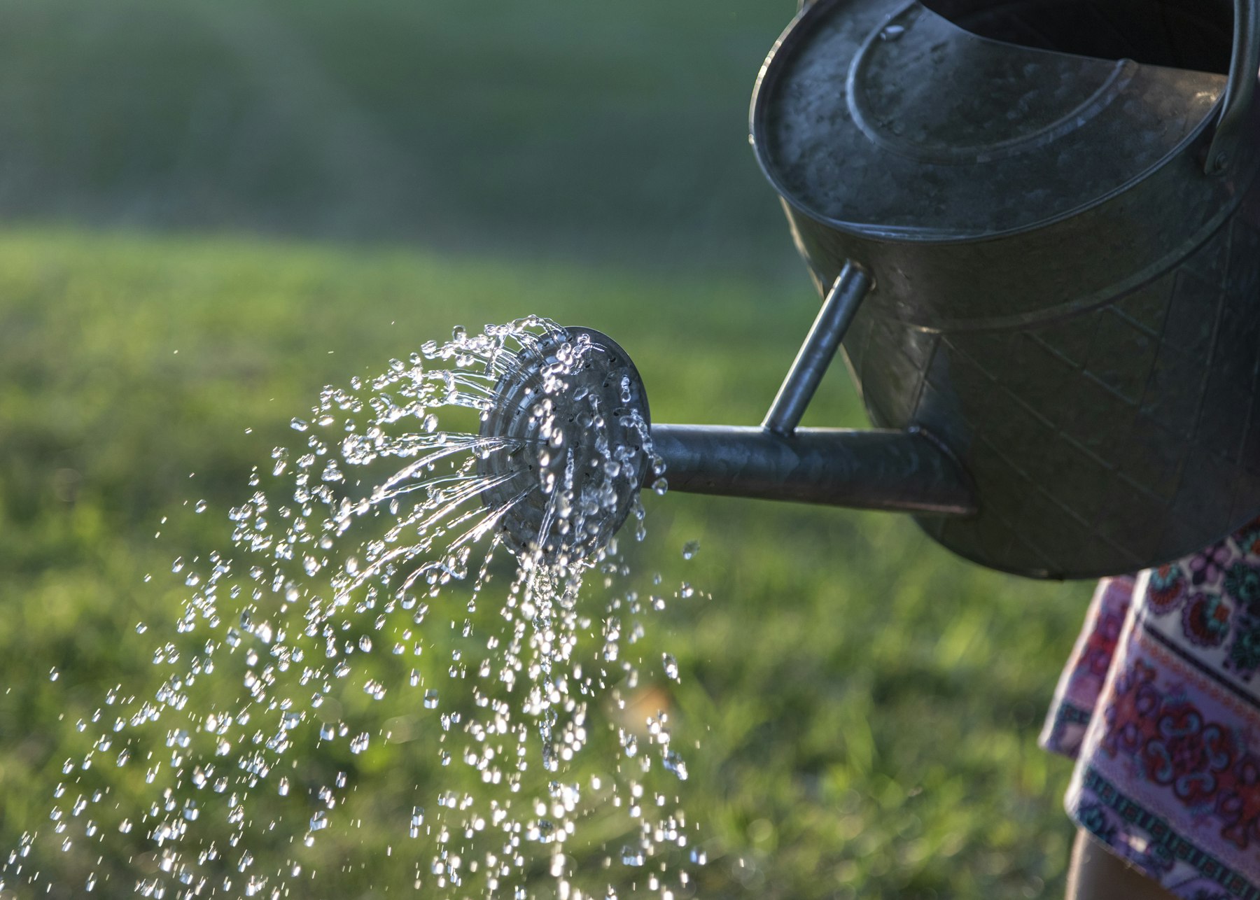 Regenwasser nutzen: Regentonne zum Sammeln von Regenwasser im Garten