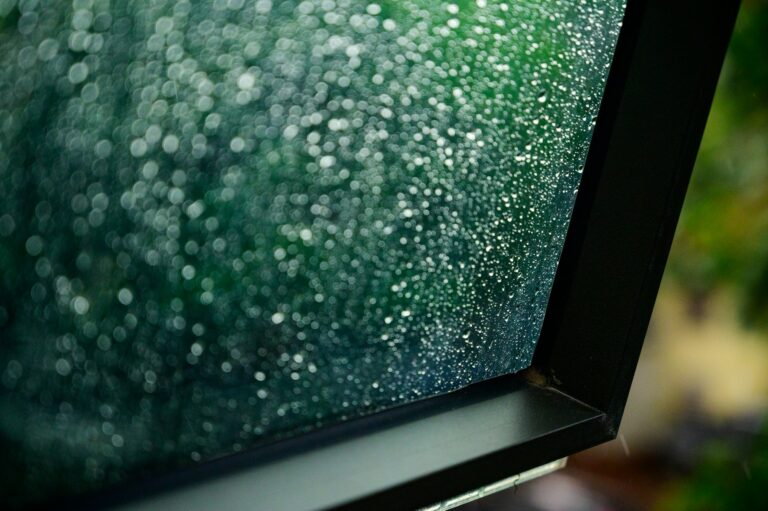 Fenster putzen ohne Schlieren: klare, streifenfreie Fensterscheibe