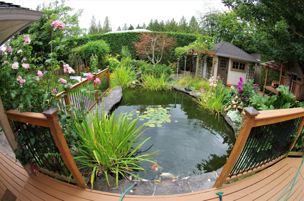 Kleiner Gartenteich mit Pflanzen als Wasserstelle im Naturgarten