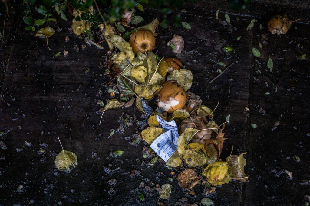 Kompost beschleunigen mit Grünmaterial: Obst- und Gemüsereste mit Laub als Kompostmaterial