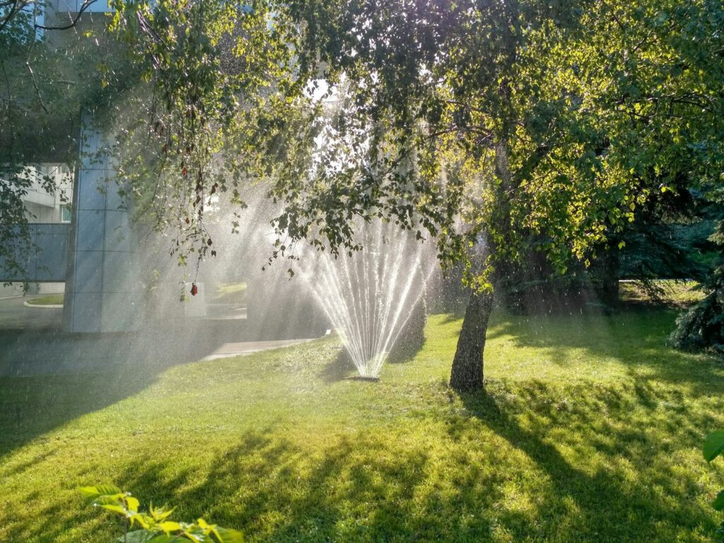 Rasen säen und wässern: Rasensprenger bewässert eine junge Rasenfläche im Sonnenlicht