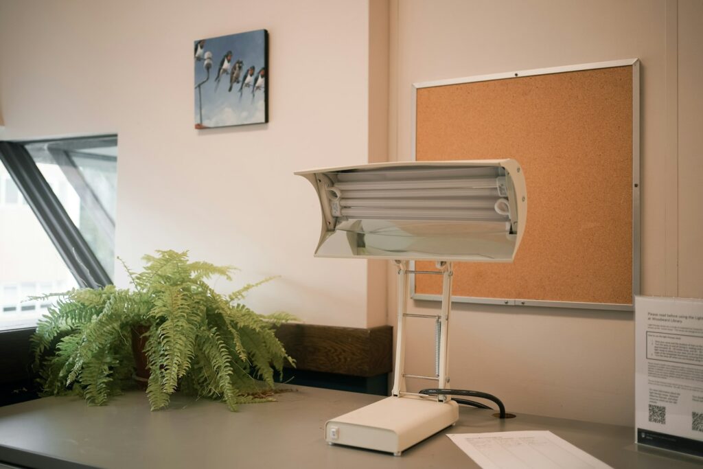Schreibtisch mit Lampe und Pflanze als ergonomischer Arbeitsplatz im Homeoffice