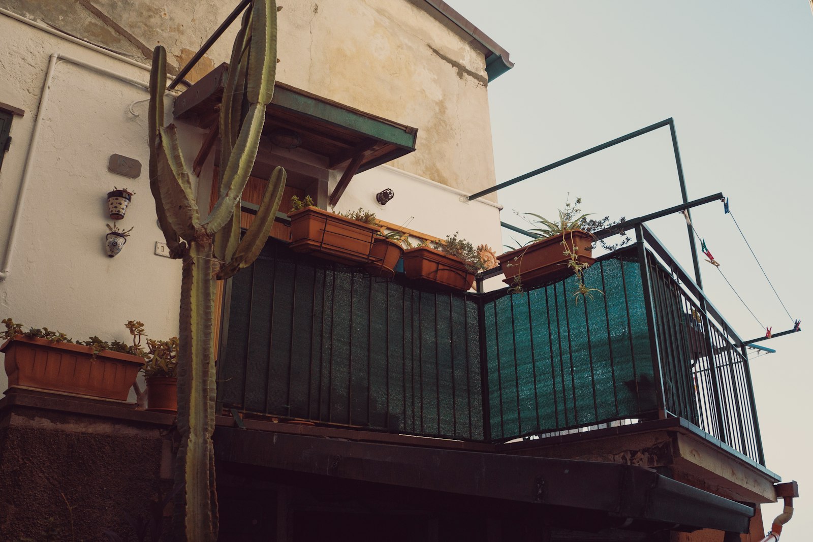 Sichtschutz Pflanzkasten: Balkon mit Pflanzen in Kübeln und grüner Sichtschutzwand