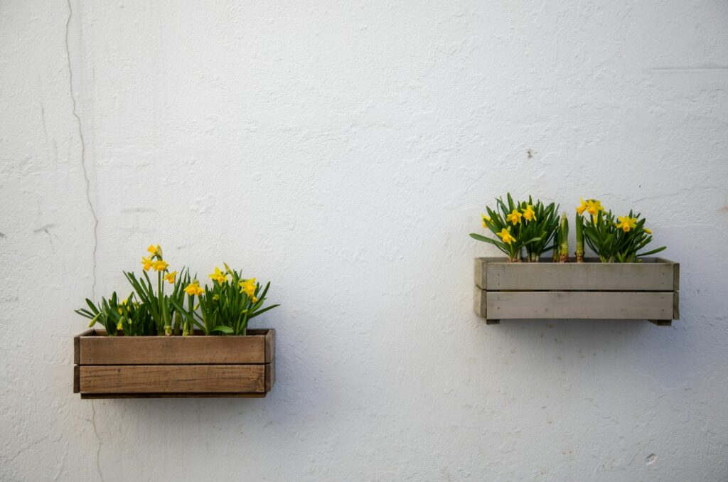 Sichtschutz Pflanzkasten selber bauen: Pflanzkästen aus Holz mit gelben Blüten vor heller Wand