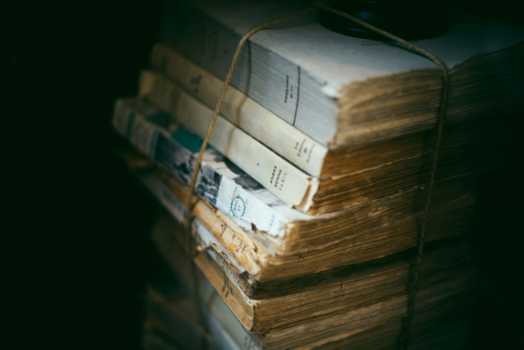 Silberfische Ursache und Papierfischchen – alte Bücher im Regal